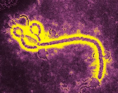 Epidemia actual de ebola, la mas grave que se ha visto: OMS